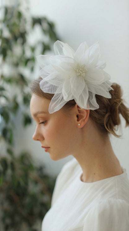 Couronne mignonne d'étoile de mer