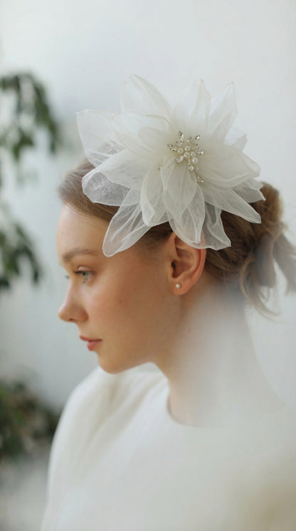 Couronne mignonne d'étoile de mer